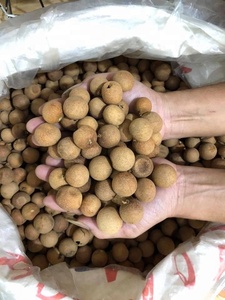 ลูกหลานอบแห้งทั้งลูกสำหรับเป็นของว่าง - Product Image 5