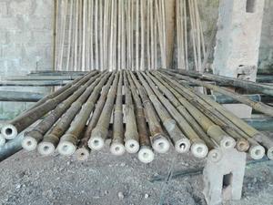 POLES DE BAMBOU DURABLES POUR LA CONSTRUCTION ET L'ARTISANAT - Product Image 5