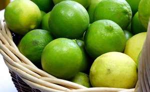 Chaux frais sans pépins de haute qualité du Vietnam Nouvelle culture pour l'approvisionnement en jus - Product Image 6