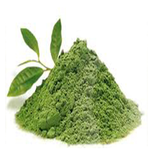 Fabricant Exportateur Fournisseur en ligne Teinture naturelle verte Poudre de henné Coloration capillaire Biologique Semi-permanente Certificat Ecocert - Product Image 4