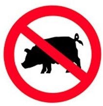 <b>Bird</b> Scarer , <b>Bird</b> <b>Repeller</b> , <b>Bird</b> Repellent , Electronic <b>Bird</b> Scarer With Tripod - Product Image 4