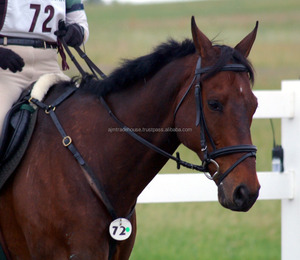 Sillín de caballo para niños nuevo diseño sillín, montura de Caballo Americano - Product Image 1