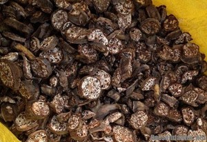 Plátano Silvestre 100% Seco al Sol, Sabor Dulce, Empaque a Granel, Proceso de Secado al Aire - Product Image 2