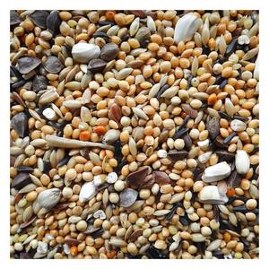 Nhà Máy ukrainian cung cấp thức ăn hỗn hợp chim bồ câu bán chạy nhất cho thức ăn cho chim, hạt giống cho thức ăn chim bồ câu bán buôn để chăn nuôi - Product Image 2