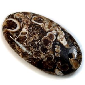 Tự nhiên turritella lỏng đá quý kết hợp kích thước hình dạng Cabochon đối với trang sức làm - Product Image 6