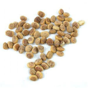 Huile de support d'huile essentielle Chironji naturelle certifiée biologique sous forme liquide - Product Image 2