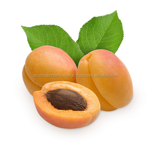 Fournisseur de confiance d'huile de noyau d'abricot inde - Product Image 4
