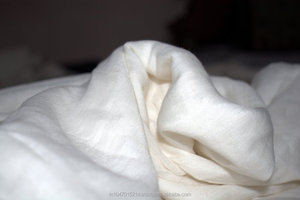 Tissu de coton de soie tissé à la main - Product Image 5