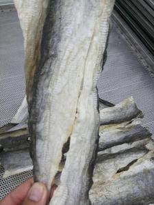 ปลาสวาย/BASA ผิวปลาในเวียดนาม - Product Image 4