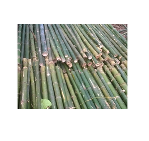 เสาไม้ไผ่ที่เป็นมิตร/รั้วไม้ไผ่ดิบ - Product Image 1