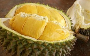 Durian RI6 Premium de Vietnam – Fruta Tropical Cremosa y Dulce |   Proveedor de Exportación // Sr. Tom - Product Image 2