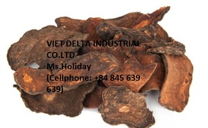 POLYGONUM biologique 100% de vacances au vietnam - Product Image 2