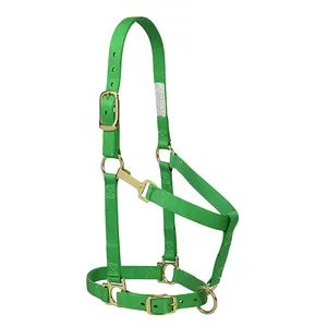 2019 Chất Lượng Hàng Đầu Tùy Chỉnh PP Và Nylon Horse Headstall Ngựa Halters Bởi Lazib Thể Thao