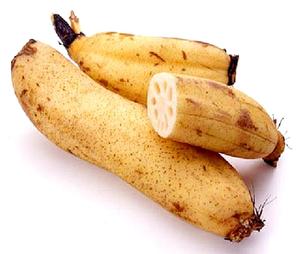 Hữu Cơ Đông Lạnh Rau Giá Rẻ Giá Đông Lạnh Củ Sen Và Khoai Tây Tươi IQF Chứng Nhận Kỳ Nghỉ Đặc Biệt - Product Image 1