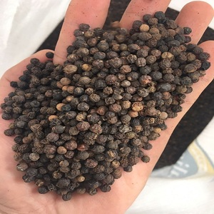 Anna DO Vietnam 5mm Bold 570-580G/L FAQ sur les épices au poivre noir nettoyées en machine pour la transformation des aliments séchés et bruts + 84982153058 - Product Image 1