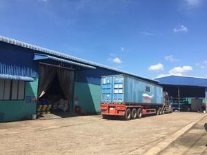 W320เม็ดมะม่วงหิมพานต์สีขาวจากเวียดนาม - Product Image 6