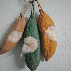 ใยนุ่นนำเข้าจากเวียดนามสำหรับตาข่ายนก - Product Image 6