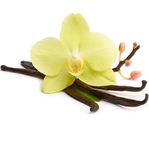 Aceite Esencial de Vainilla Planifolia Orgánico Puro, Certificado GMP, Extraído con Solvente, el Mejor Humectante Blanqueador y Nutritivo - Product Image 6