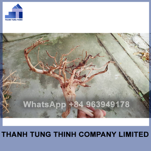 ไม้กฤษณาธรรมชาติสำหรับตู้ปลา,อุปกรณ์ตกแต่งตู้ปลา - Product Image 2