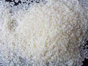 Riz blanc japonais à grains courts pour sushi, riz sec et moelleux - Product Image 2
