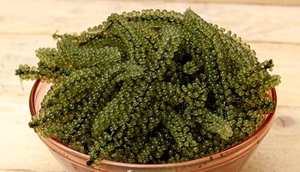 องุ่นทะเลแห้งรสชาติอร่อย - Product Image 2