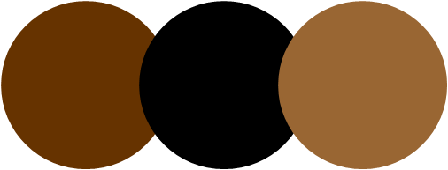 สีน้ำตาลดำ