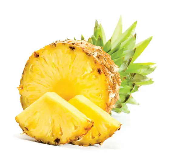 Good price and near season canned pineapple ring in tin can