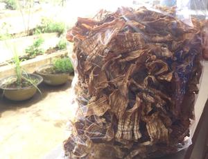 Tiges de bambou séchées à bon prix provenant d'un fournisseur vietnamien - Product Image 6