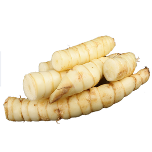 ARROWROOT FRESCO DE ALTA CALIDAD - Product Image 1