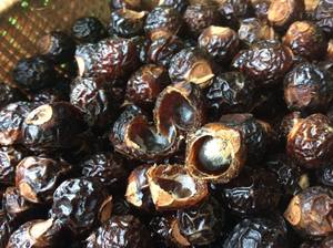 High Quality Natural Soap <b>Nuts</b> for Laundry - Product Image 6