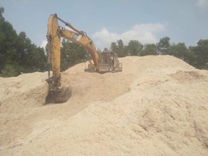 Mejor Bagazo de Caña de Azúcar para Pulpa de Embalaje Ecológica, Residuos Agrícolas, Bagazo de Caña de Azúcar Seco y Fermentado para Alimento de Ganado - Product Image 5