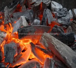 BETTER THAN BRIQUETTES NOW MARKET TREND SWITCH TO LUMP CHARCOAL FOR BARBECUE BBQ IN BENI SUEF EGYPT
