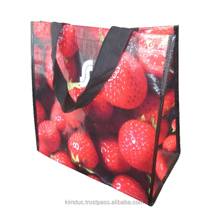 Bolsa de Compras/supermercado tejida de PP, ecológica y reutilizable, con patrón de fruta personalizable, hecha en Vietnam - Product Image 1