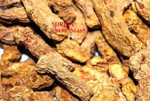 Cúrcuma Seca de Alta Calidad a Precio Accesible 2021 - Product Image 3