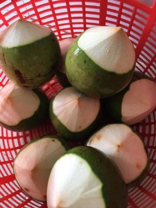 มะพร้าวสด (Viber + 84 971629648) - Product Image 2