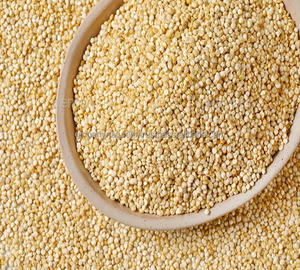 ผลไม้ Quinoa บริสุทธิ์และเป็นธรรมชาติจากอินเดีย - Product Image 2