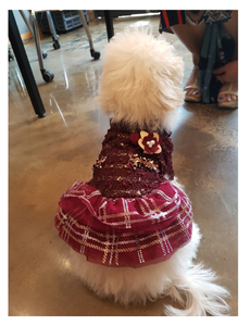 Chaqueta de Lujo para Perro con Diseño de Cuadros, Material Spandex, Tallas S-XL, Primavera/Otoño - Product Image 3