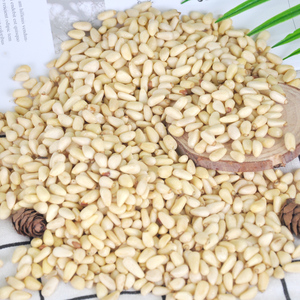 Raw white pine nuts in shell - Product Image 2