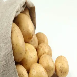 Тип картофеля и свежий стиль, завод по производству свежего картофеля