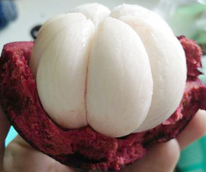 Mangostán Fresco de Vietnam/ Alta Calidad/ Dulce - Product Image 3