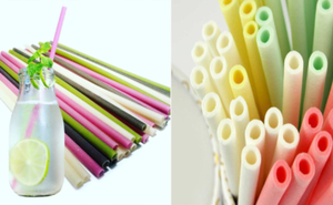 Pailles à boire de riz naturel/pailles à boire de riz les moins chères - Product Image 5