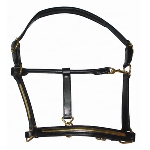 Elegant English Saddle-Style <b>Leather</b> Horse Halter Functional with <b>Strips</b> - Product Image 1