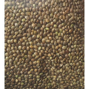 Semillas de calabaza de color blanco nieve comestible, chino, buena calidad - Product Image 3