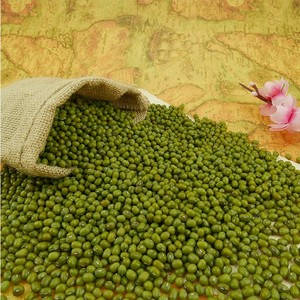 Cheap Dried Bulk Green Mung <b>Beans</b> From South Africa with Best Price - Product Image 4