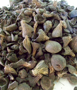 เปลือกเมล็ดปาล์มบริสุทธิ์100% (pks)/ถ่านเปลือกเมล็ดในปาล์มเกรดอาหารจากแอฟริกาใต้ - Product Image 3