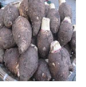 Congelés Taro - Product Image 1