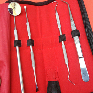 Kit d'outils d'hygiène dentaire professionnels 2026 – 4 pièces en acier inoxydable, détartreur manuel, grattoir, équipement de nettoyage et de restauration dentaire - Product Image 6