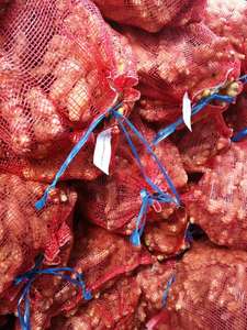 Récolte de racine de gingembre biologique d'une ferme au Vietnam de haute qualité et au meilleur prix - Product Image 6