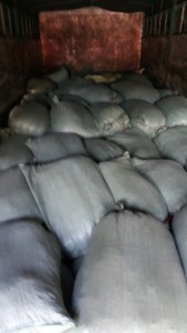 Algodón EUCHEUMA seco de alta calidad - Product Image 5