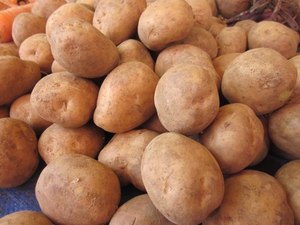 Papas frescas de Vietnam al mejor precio y calidad - Product Image 4